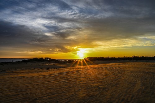 Uncovering the Hidden Gems of Dababy's Birthplace, Charlotte, North Carolina