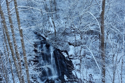 The blueish hues of winter mixed with the purely white snow cover the forested landscape with a waterfall flowing around the ice in the background.
