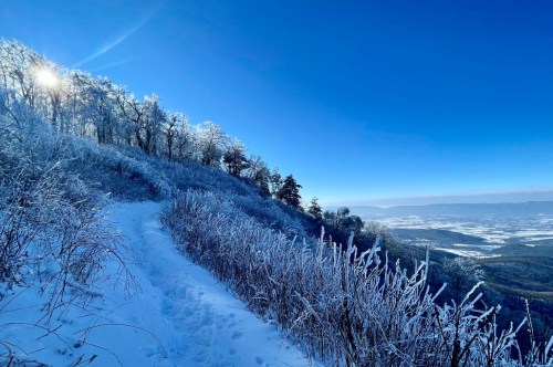 The sun peeks behind the icy trees along a snow-covered trail along the mountains with long ruts made in the snow where hikers have traveled.
