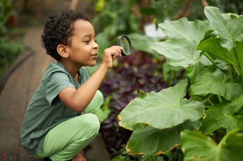child boy interested in biology and ecology, use magnifier for best looking at green plants