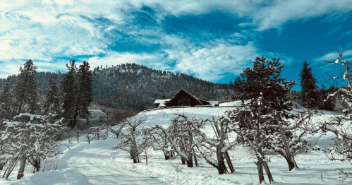 An alpine lodge sits on top of a hill, covered in a thick layer of fresh snow.