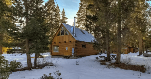 A snug cabin peeks out from among evergreen trees in snowy scenery.