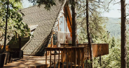 An A-frame cabin overlooks a thick forest of evergreen trees.
