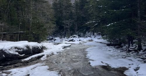 A river running through a forest covered in show.