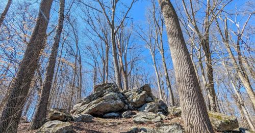 A rock formation on top of a small hill in the forest.