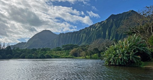 Hoʻomaluhia Botanical Garden on Oʻahu featuring a serene lake and lush greenery against the dramatic Koʻolau Mountains.