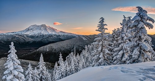 Mount Rainier National Park on a quiet winter day with snowy trees in the foreground and a light sunset in the back.