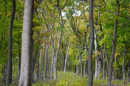 Keosauqua Is An Iowa Historic Town You Must Visit