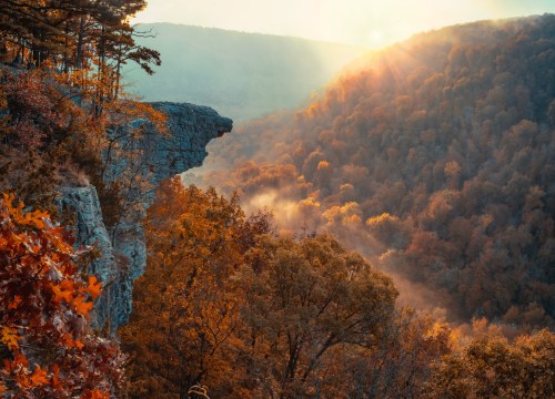 Hawksbill Crag in the Ozark Mountains of Arkansas, surrounded by autumn foliage and morning fog