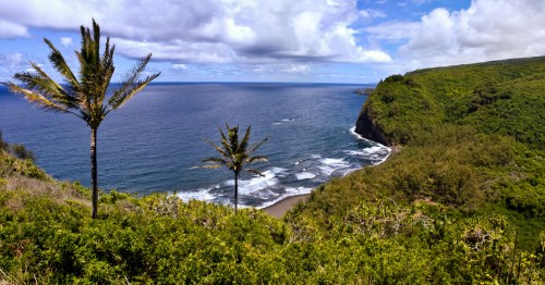 Lush coastline view of Pololū Valley Lookout in Hawaii with black sand beach, dramatic cliffs, and tropical palm trees.