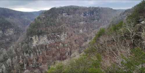 Best Winter Hiking in Georgia: Bundle up and Visit Cloudland Canyon