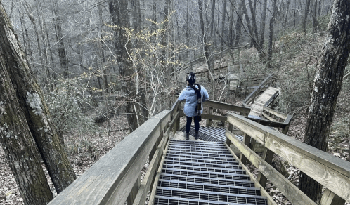 Best Winter Hiking in Georgia: Bundle up and Visit Cloudland Canyon
