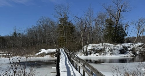 A long, wooden pedestrian bridge covered in snow stretches over a frozen river in a quiet, wintry forest.