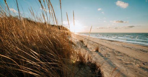 the shores of Lake Michigan at Indian Dunes National Park with weeds in the foreground