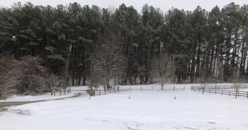 view of a field covered in snow and a line of pine trees in the background