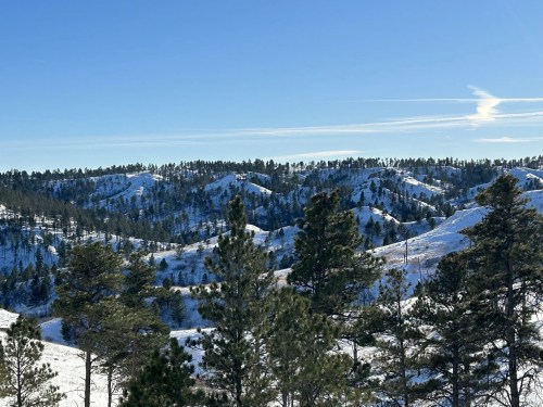 Snow-covered hills line with evergreen trees set a wintery scene in Nebraska under a blue sky.