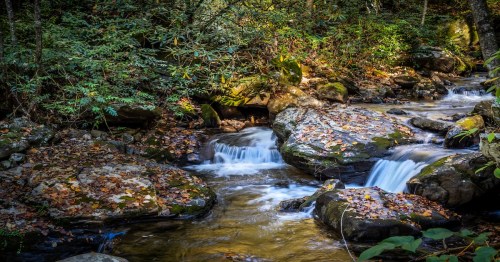 a creek with a few mini waterfalls amongst brown rocks and green trees in georgia