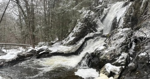  Campbell Falls, surrounded by snow-capped trees, drops in a pool of water.