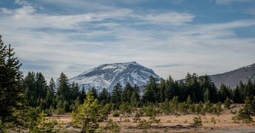 snowy mountain, forest green trees, and a sandy trail amongst the Deschutes National Park in Oregon