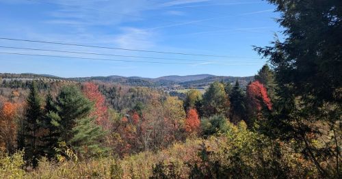 Dog Mountain Vermont