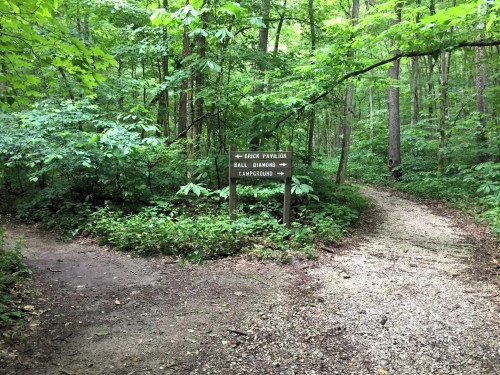 Scenic Hiking Trail in Charleston, IL: Fox Ridge State Park Loop Trail ...