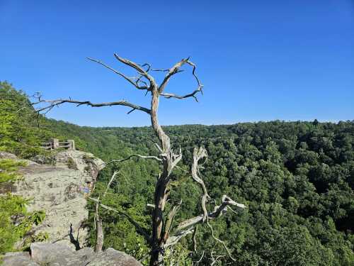 Best Waterfall Hike in Buck’s Pocket State Park: Point Rock Trail in ...