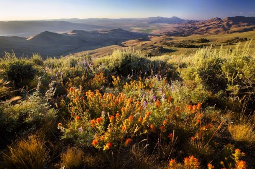 Things to do in Winnemucca, Nevada