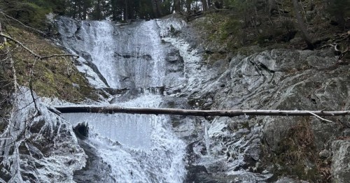 A waterfall flowing over rocky ledges with thick icicles and frost clinging to the surrounding rocks and fallen logs.