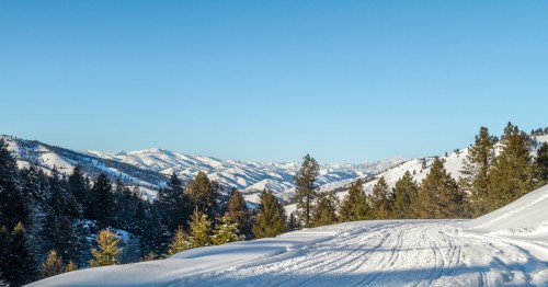 A scenic winter scene of a snowmobille trail in the backcountry in Idaho