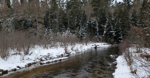A serene winter scene shows a dark river flowing between snow-covered banks lined with evergreen and deciduous trees.