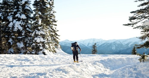 a skier in the middle of thick snow and green wintery trees in olympic national park