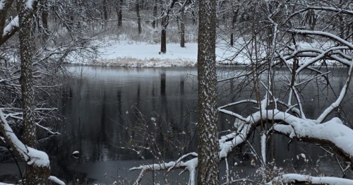 A dark, still body of water is framed by snow-covered banks and tree branches, with a small snowy island visible in the middle ground, creating a stark, winter scene.