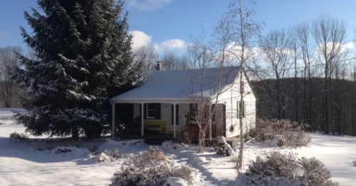 A small, snow-covered cottage next to a towering pine tree