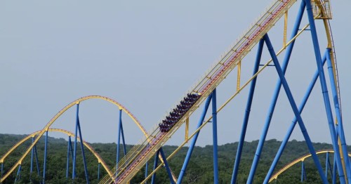 A yellow roller coaster track with bright blue supports twisting through the trees against a clear sky.