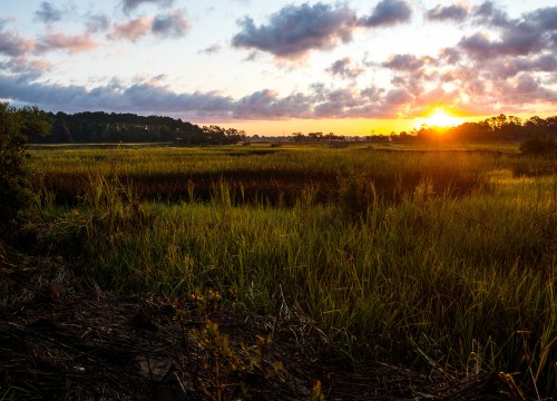 Landscape of a South Carolina Lowcountry marsh at sunrise, with cloudy skies reflecting on tidal waters and marsh grasses