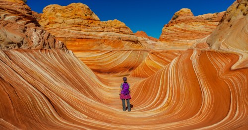 a hiker wearing a purple jacket hikes through the wave in arizona