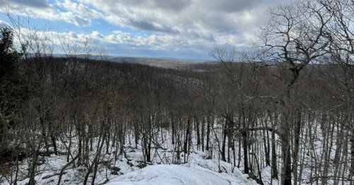 A snowy overlook, with hundreds of trees on a downhill slope. 