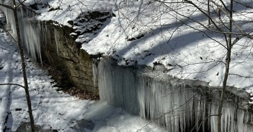 Sunlight highlights sharp icicles hanging from a snowy, rocky outcrop, surrounded by bare tree branches in a winter forest.