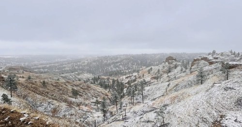 A wintry valley landscape under a gray sky, showing snowy, tan, and brown slopes descending into a tree-filled ravine.