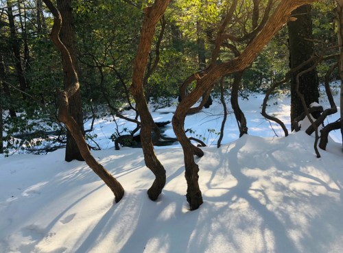 The Most Romantic Valentine’s Day Hike You’ll Find in New Hampshire