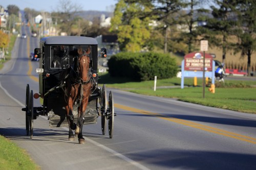 Amish buggy on country road