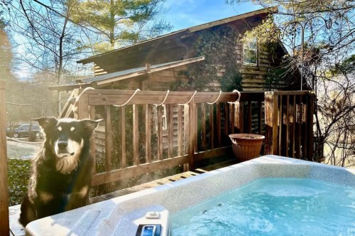 A steamy hot tub bubbles with water as a dog sits next to the steps and the rustic small brown cabin in the background.