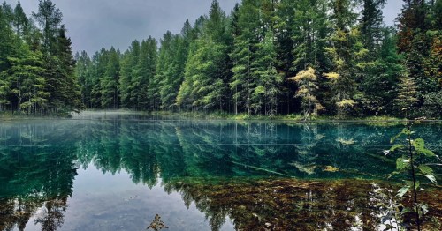 A peaceful morning mist sits over the vibrant, turquoise waters of Kitch-iti-kipi spring in Michigan.