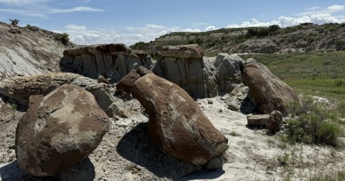 Petrified wood logs and ancient rock formations in the North Dakota Badlands at Theodore Roosevelt National Park.
