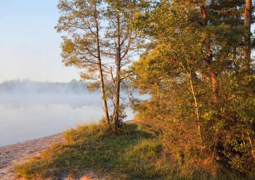 Calm lake with trees along the shoreline with misty clouds overhead