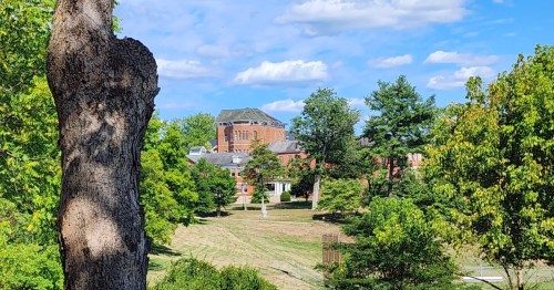The grounds of The Ridges, a roadside attraction in Texas.