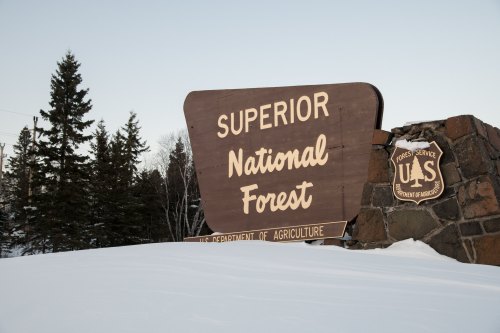 Brown forest service sign that reads "Superior National Forest"