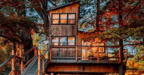 Stairs lead to a treehouse that is framed by fall trees.