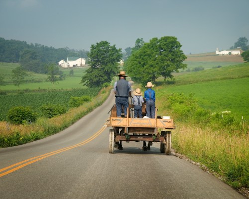 Amish buggy on road