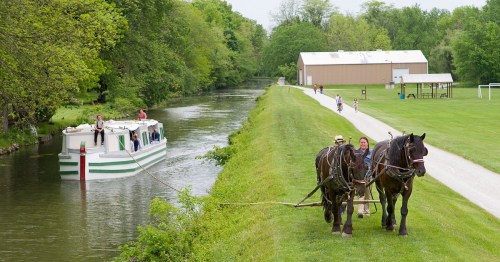 Two draft horses pull a historic canal boat along the path in Canal Fulton, Ohio.